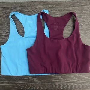 Girlfriend Collective Set of Two Paloma Sports Bras Plum and Blue